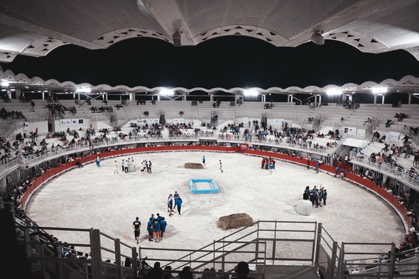 Les meilleures équipes de basket : Où jouent les meilleurs ?